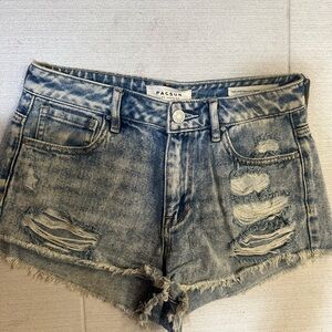 Pacsun High Rise Festival Short